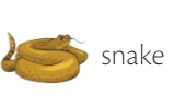 Snake 1.png